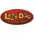 Lazy Dog Restaurant & Bar - Orange